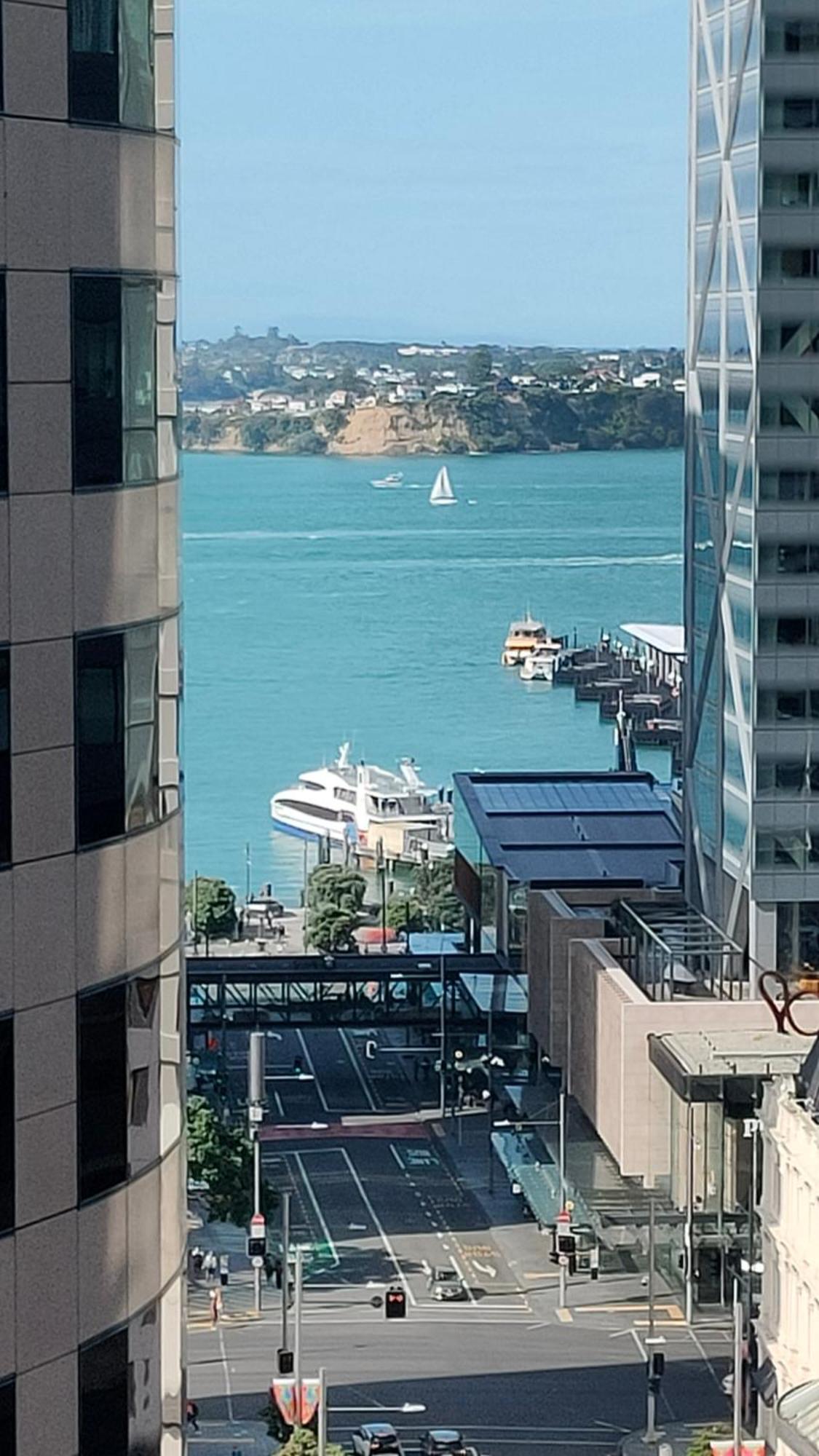 20 Pct Off Sky Stars Park Apartment Auckland Pokoj fotografie