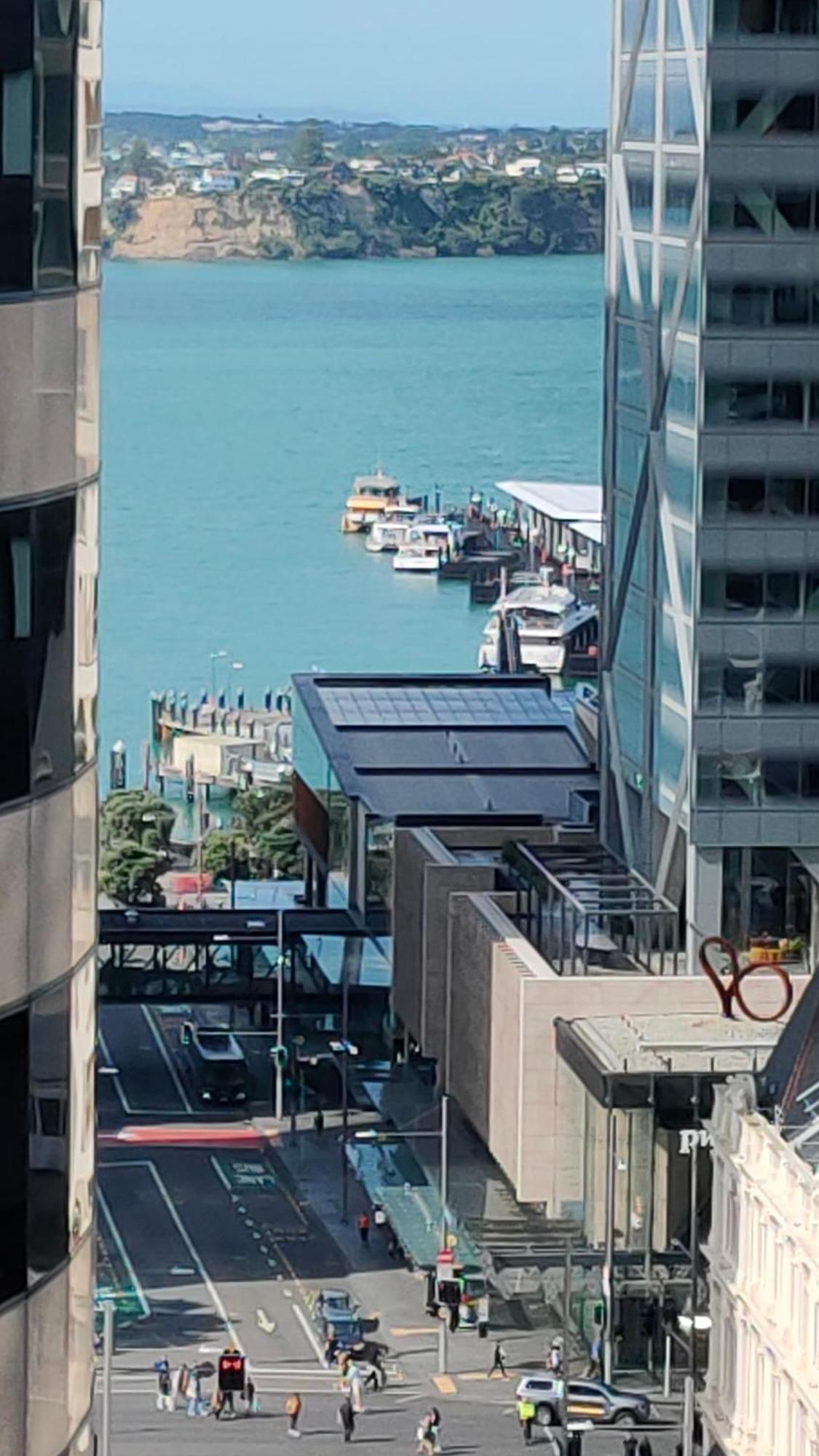 20 Pct Off Sky Stars Park Apartment Auckland Exteriér fotografie