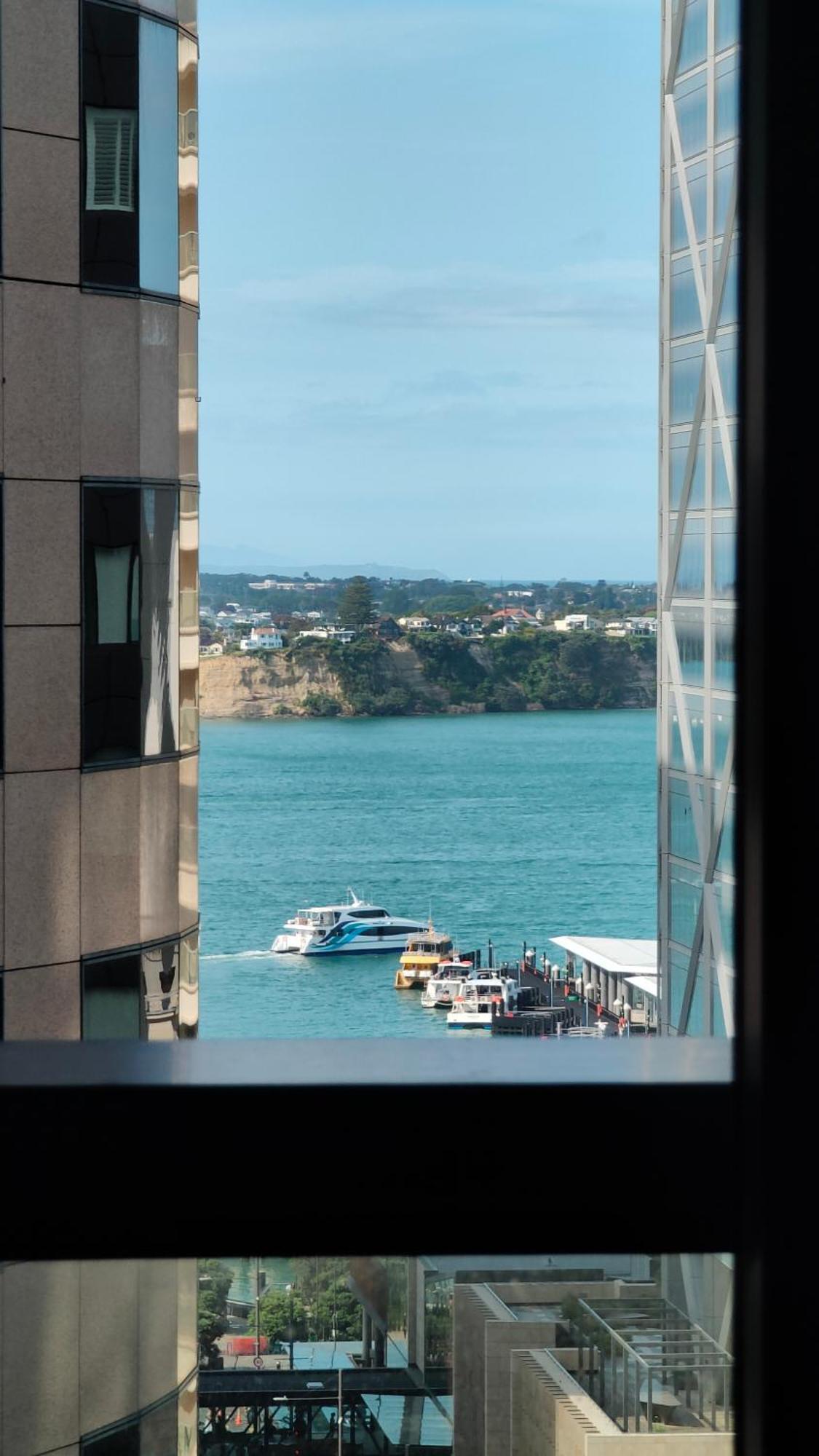 20 Pct Off Sky Stars Park Apartment Auckland Exteriér fotografie